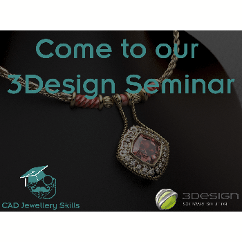 One Hour Online 3Design Seminar