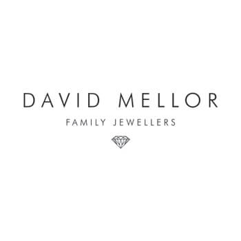 Goldsmith / Jobbing Jeweller, David Mellor Family Jewellers - Totton, Southampton