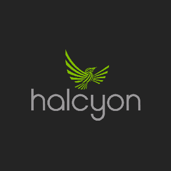 The Halcyon Arts Lab Fellowship