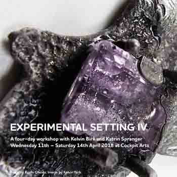 Experimental Setting IV