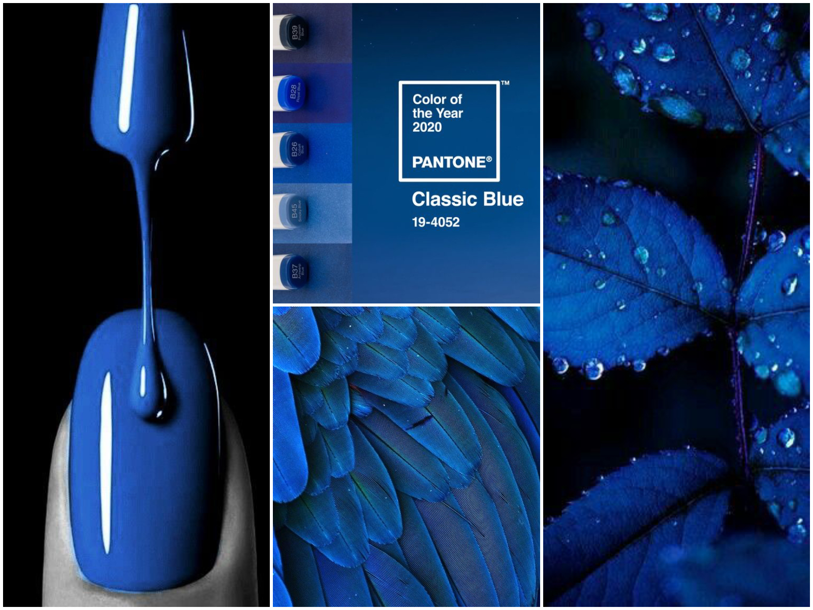 Classic Blue Is Pantone S Colour Of The Year For 2020 - vrogue.co